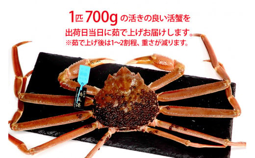 【1月20日～3月31日発送】【先行予約】【冷蔵発送】石川県産 加能かに ズワイガニ ( 産地証明タグ付 ) 茹で上げ前重量 約700g 1匹 大サイズ F6P-2752