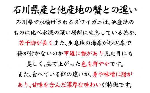 【12月16日～12月26日発送】【先行予約】【冷蔵発送】石川県産 加能かに ズワイガニ ( 産地証明タグ付 ) 茹で上げ前重量 約1.0kg 1匹 特大サイズ F6P-2760