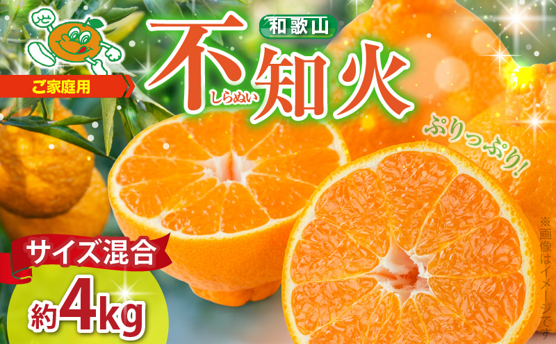 ZE6304_【まごころ手選別】和歌山県産 有田みかん(極早生) 5kg 【家庭