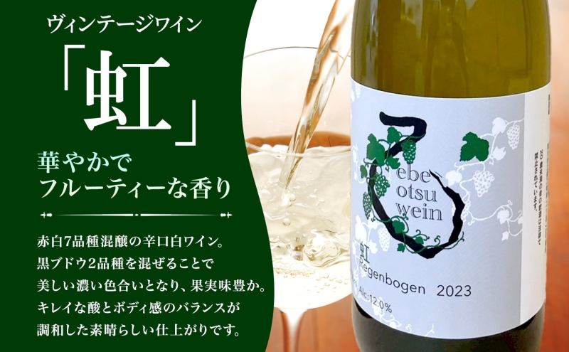 【先行予約 12/31まで】えべおつWein 2023年ヴィンテージワイン 虹 750ml 1本 ＜2026年1月中旬～順次出荷＞ 江部乙 えべおつヴァイン 洋酒 お酒 酒 ビンテージ ヴィンテージ 辛口 7品種 北海道 滝川市