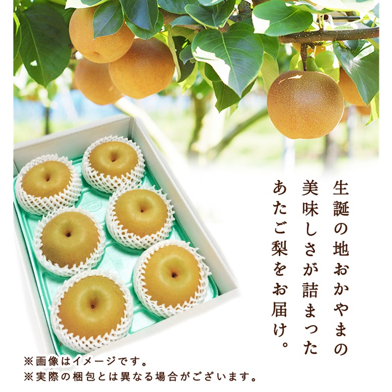 梨 2026年 先行予約 あたご梨 2玉 岡山県 赤磐市産 果物 フルーツ