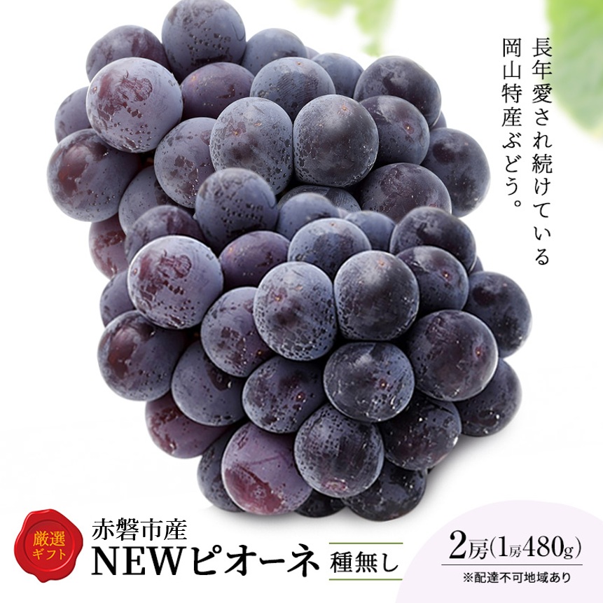 ぶどう 2026年 先行予約 ピオーネ 2房 1房約480g 化粧箱入り 岡山県 赤磐市産 果物 フルーツ 葡萄 ブドウ