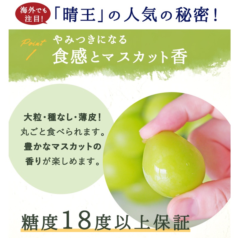 ぶどう 2026年 先行予約 シャインマスカット 晴王 2房  1房約480g 化粧箱入り  岡山県 赤磐市産 果物 フルーツ 葡萄 ブドウ