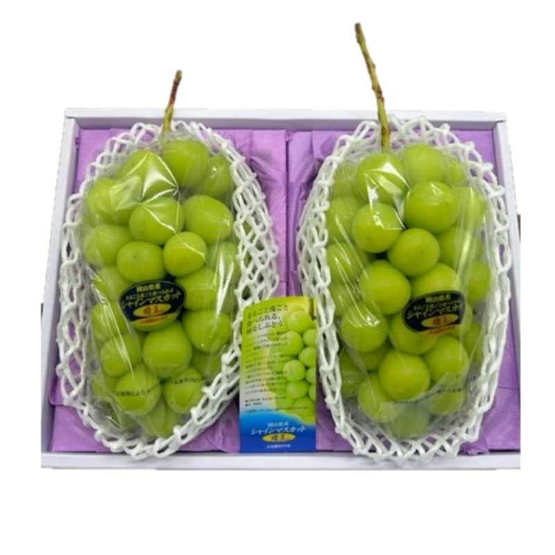 ぶどう 2026年 先行予約 シャインマスカット 晴王 2房  1房約480g 化粧箱入り  岡山県 赤磐市産 果物 フルーツ 葡萄 ブドウ