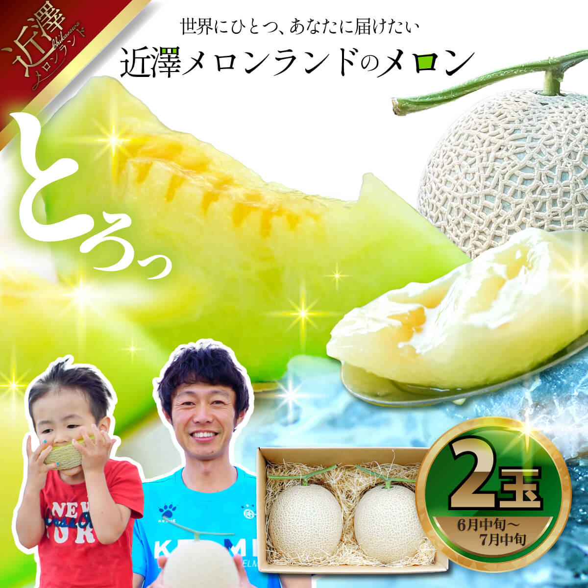 先行予約 メロン 2玉入り(1玉約1.4kg〜1.8kg)青肉 2026年夏発送 期間限定 メロン めろん マスクメロン 舐瓜 果物 くだもの フルーツ デザート 旬 ハウス栽培 常温配送