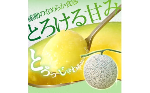 先行予約 メロン ２玉入り（1玉約1.4kg～1.8kg）青肉 2026年夏発送 期間限定 メロン めろん マスクメロン 舐瓜 果物 くだもの フルーツ デザート 旬 ハウス栽培 常温配送