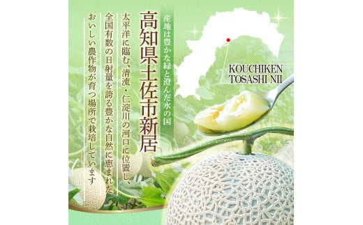 先行予約 メロン ２玉入り（1玉約1.4kg～1.8kg）青肉 2026年夏発送 期間限定 メロン めろん マスクメロン 舐瓜 果物 くだもの フルーツ デザート 旬 ハウス栽培 常温配送