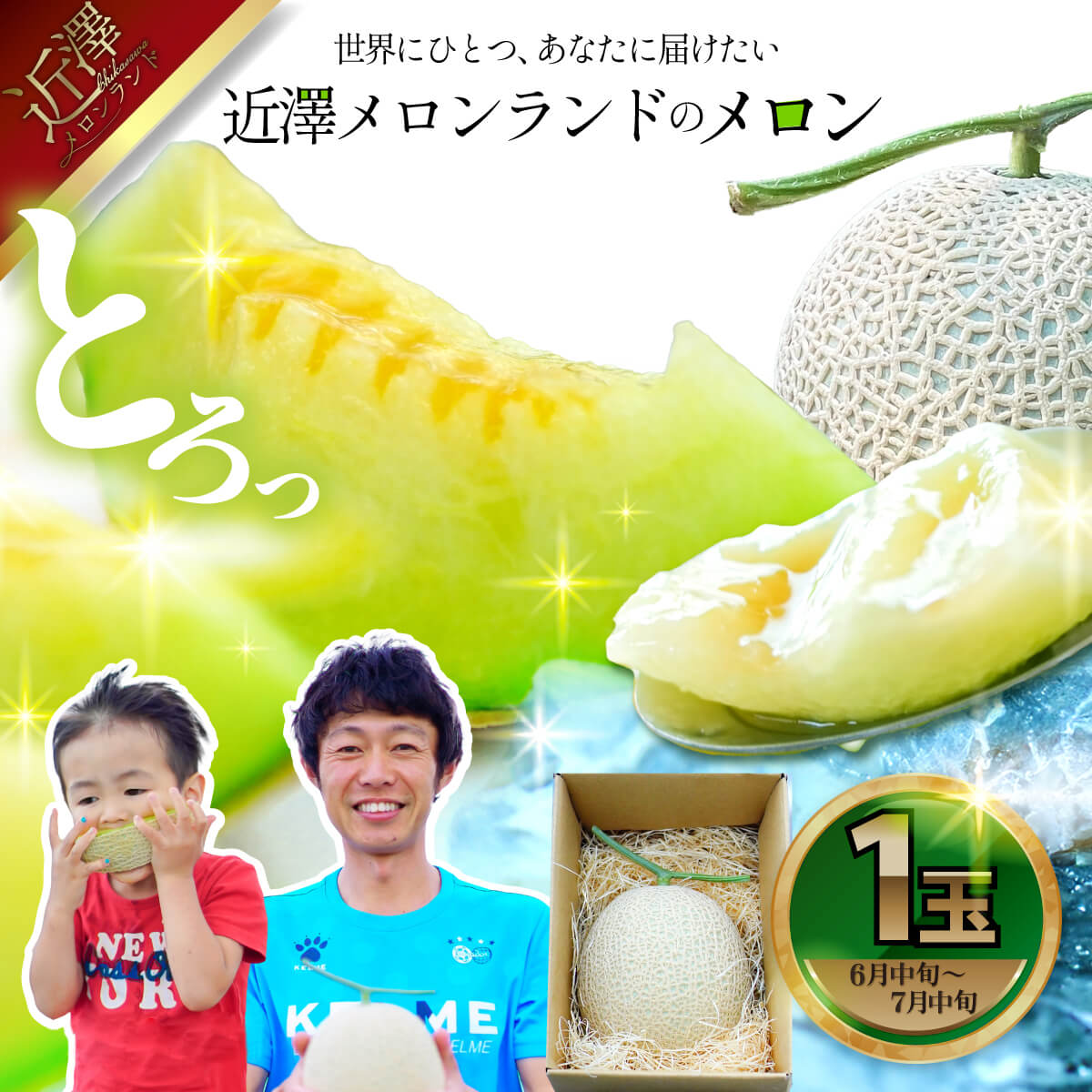 先行予約 メロン １玉入（約1.4kg～1.8kg）青肉 2026年夏発送 期間限定 メロン めろん マスクメロン 舐瓜 果物 くだもの フルーツ デザート 旬 ハウス栽培 常温配送