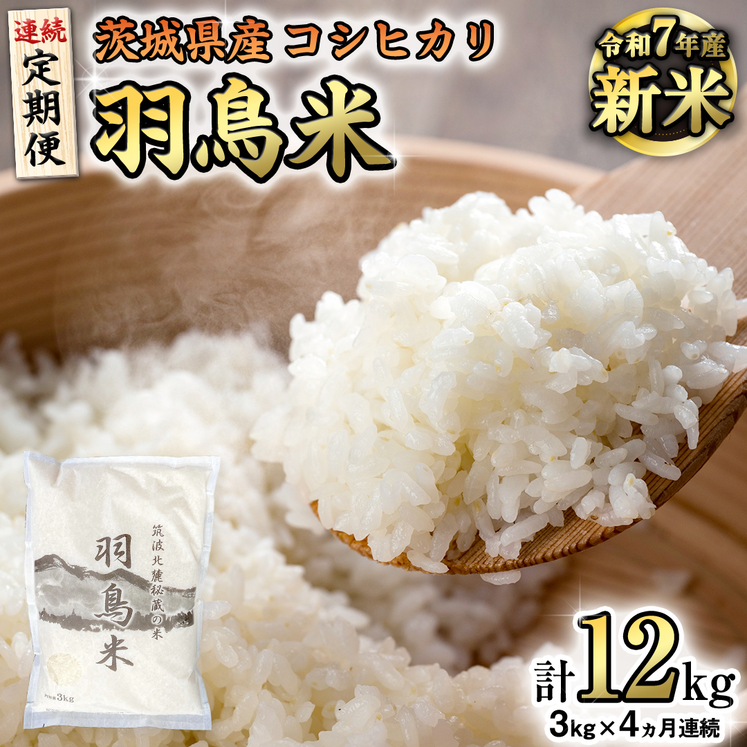 《全4回 定期便》《 令和7年産 先行予約
