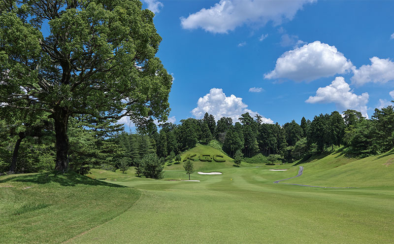 桔梗が丘ゴルフコース 土日祝 1名様 プレー券