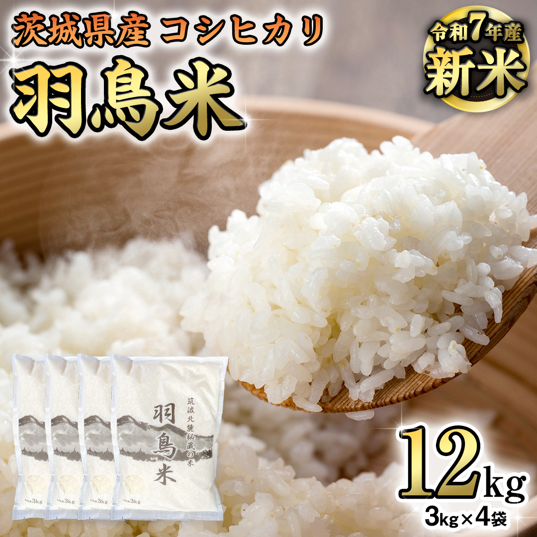 専用　新米　20K 安曇野エコ　コシヒカリ玄米 R6年産 安曇野産こしひかり 「こいひかり」玄米｜細田農産
