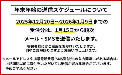 北海道のふるさと納税 北海道 日本旅行 地域限定旅行クーポン30000円分(Eメール発行) チケット 旅行 宿泊券 ホテル 観光 旅行 旅行券 交通費 体験  宿泊 夏休み 冬休み F6S-342
