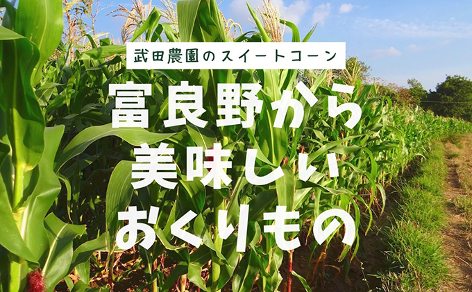 2026年夏発送 ［武田農園とれたて直送］スイートコーン どきどきコーン 2L 20本 北海道 富良野産 ( とうもろこし 野菜 新鮮 とうきび 甘い 産地直送 先行予約 限定 ）