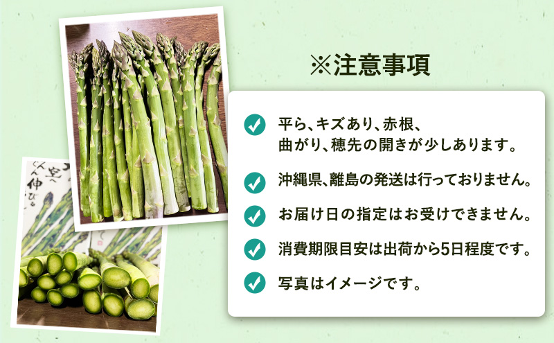 ［武田農園とれたて直送］訳あり グリーンアスパラ M～2Lサイズ混合 約1kg ご家庭用 やわらかくて抜群に甘い！北海道 富良野産 ( アスパラガス アスパラ 野菜 新鮮 産地直送 先行予約 限定 ) 