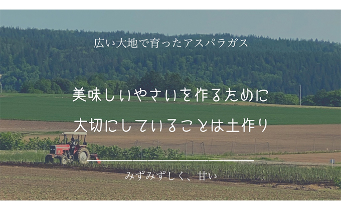 ［武田農園とれたて直送］訳あり グリーンアスパラ M～2Lサイズ混合 約1kg ご家庭用 やわらかくて抜群に甘い！北海道 富良野産 ( アスパラガス アスパラ 野菜 新鮮 産地直送 先行予約 限定 ) 