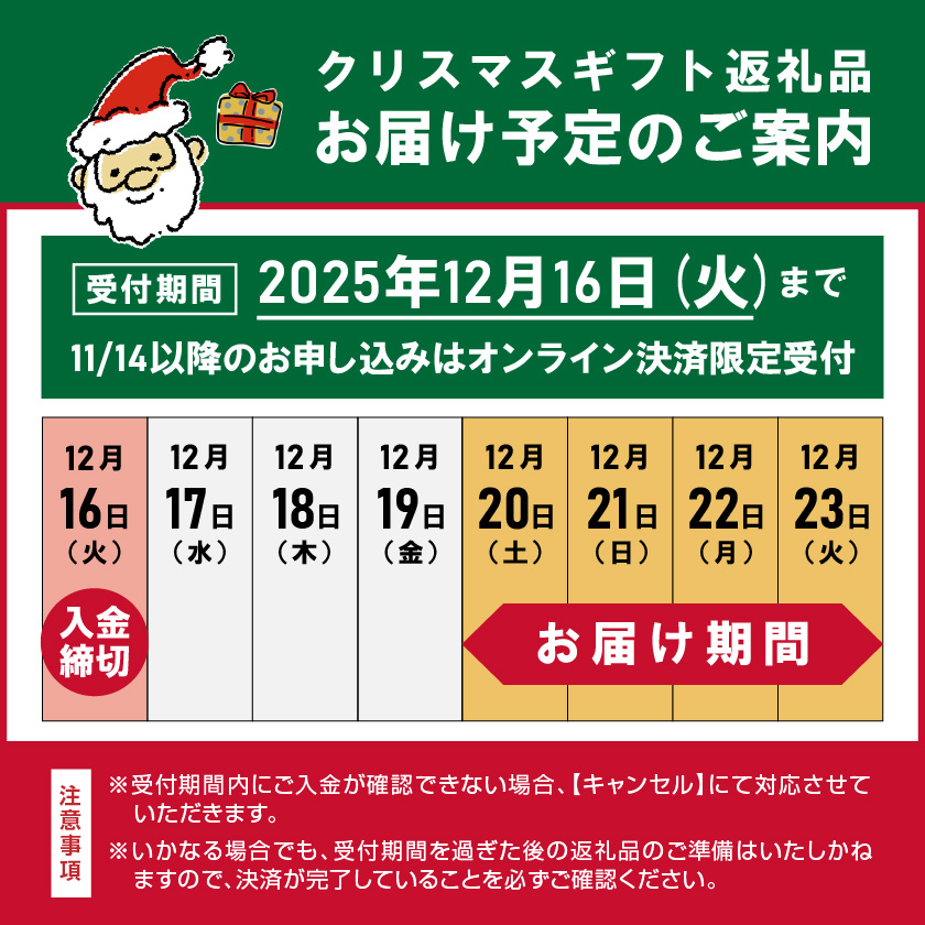 宮崎県都城市のふるさと納税 【☆クリスマス☆】☆クリスマスチキン☆ローストレッグ3本&チキン南蛮2袋セット≪12月20日～23日お届け≫_12-9203-OJX