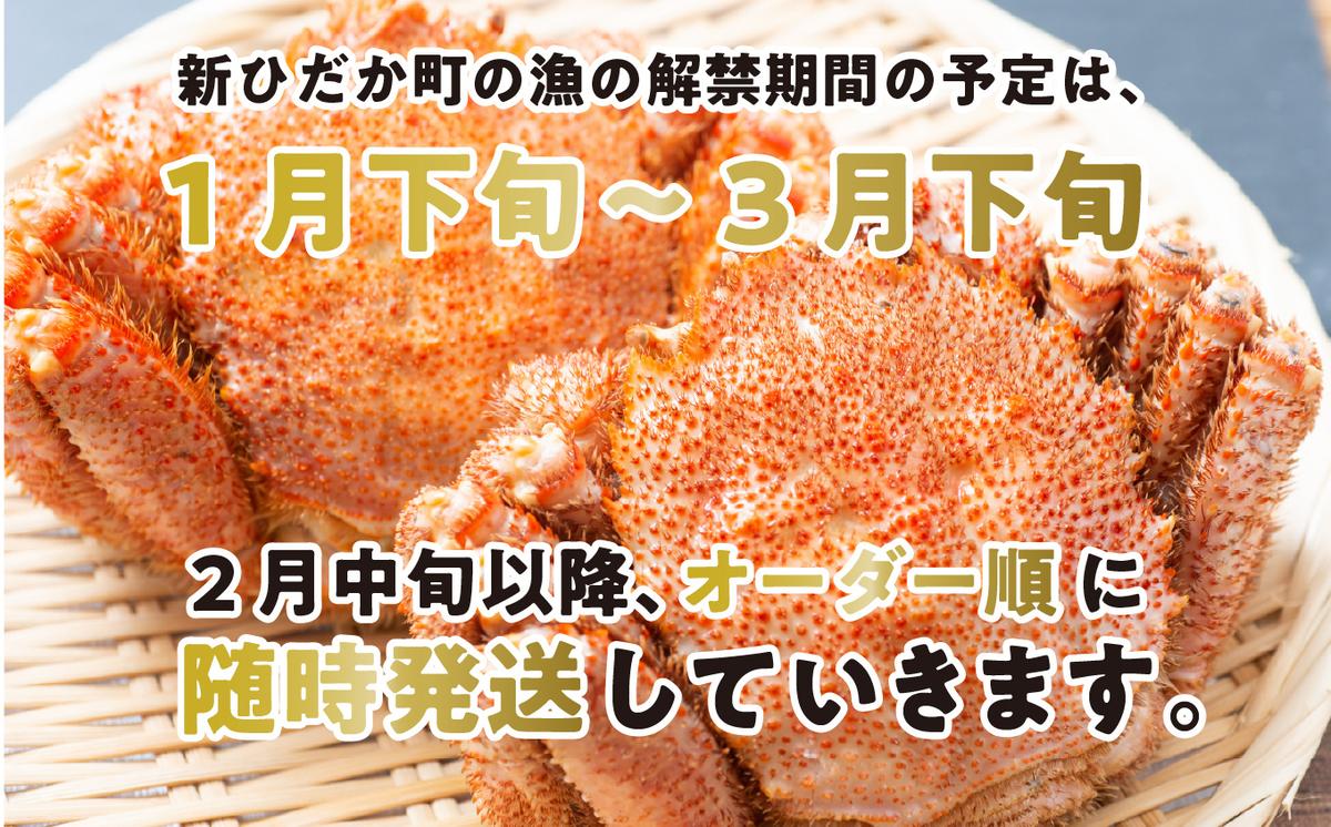 北海道新ひだか町のふるさと納税 ＜2026年2月中旬から順次発送＞ 北海道産 かに 浜ゆで 毛がに 2尾 計 600g 以上 ＜ 予約商品 ＞ 毛蟹 毛ガニ 北海道 冷蔵 毛蟹 毛ガニ けがに かに 蟹 カニ かに味噌 カニ味噌 新鮮 旬 ボイル 浜茹で 海鮮 海産物 新鮮 旬 魚介 蟹味噌 みそ 新ひだか町
