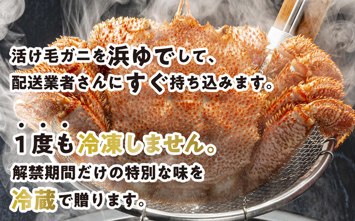 北海道新ひだか町のふるさと納税 ＜2026年2月中旬から順次発送＞ 北海道産 かに 浜ゆで 毛がに 2尾 計 600g 以上 ＜ 予約商品 ＞ 毛蟹 毛ガニ 北海道 冷蔵 毛蟹 毛ガニ けがに かに 蟹 カニ かに味噌 カニ味噌 新鮮 旬 ボイル 浜茹で 海鮮 海産物 新鮮 旬 魚介 蟹味噌 みそ 新ひだか町
