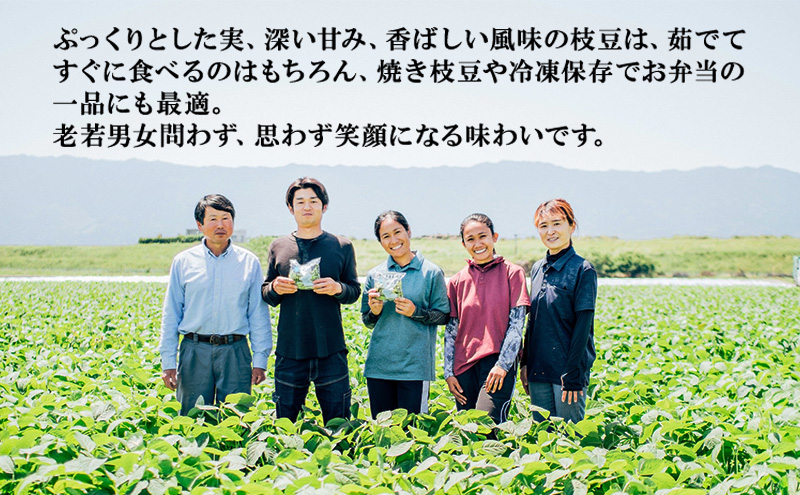 枝豆 【2026年6月発送】枝豆200g×10袋 合計2kg 福岡県大刀洗町産 豆 えだまめ 焼き枝豆 お弁当 おつまみ ※配送不可:北海道・沖縄・離島