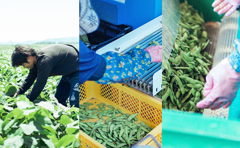 枝豆 【2026年6月発送】枝豆200g×10袋 合計2kg 福岡県大刀洗町産 豆 えだまめ 焼き枝豆 お弁当 おつまみ ※配送不可:北海道・沖縄・離島