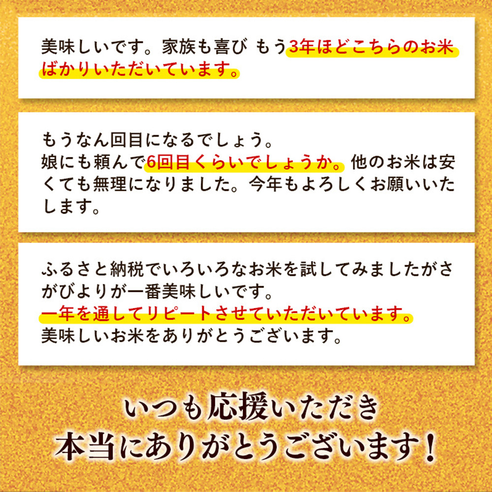 佐賀県神埼市のふるさと納税 【数量限定】【令和6年産】さがびより 精米 10kg【特A受賞米 米 5kg×2袋 お米 コメ こめ 国産 美味しい ブランド米 人気 ランキング 増田米穀】(H015196)