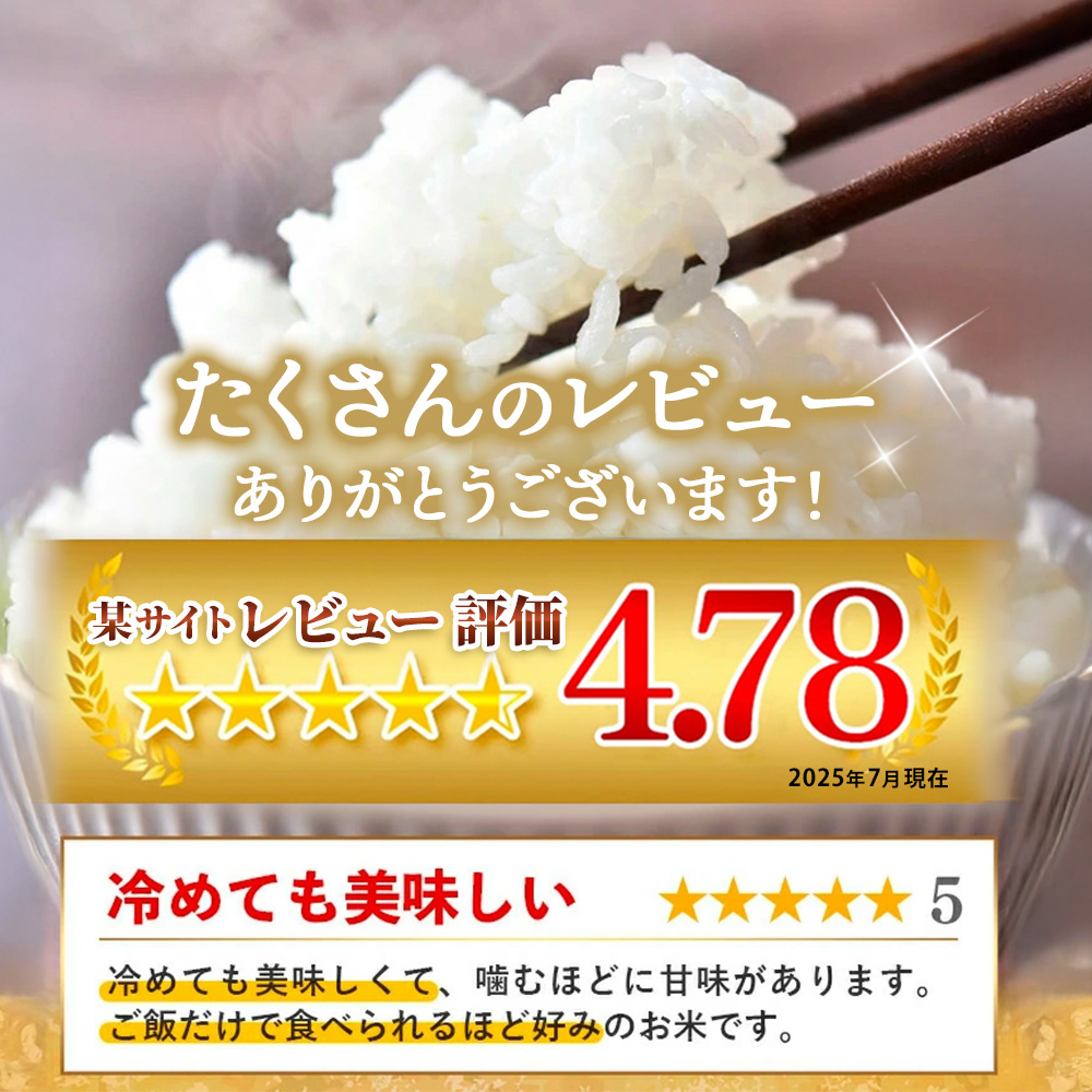 佐賀県神埼市のふるさと納税 【数量限定】【令和6年産】さがびより 精米 5kg【特A受賞米 米 5kg お米 コメ こめ 国産 美味しい ブランド米 人気 ランキング 増田米穀】(H015197)