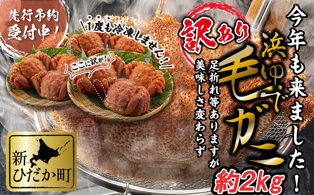 ＜2026年2月中旬から順次発送＞ 訳あり 北海道産 浜ゆで 毛ガニ 約 2kg ＜予約商品＞ 毛蟹 毛がに かに味噌 カニ味噌 新鮮 旬 ボイル 浜茹で 海鮮 海産物 わけあり 訳アリ 