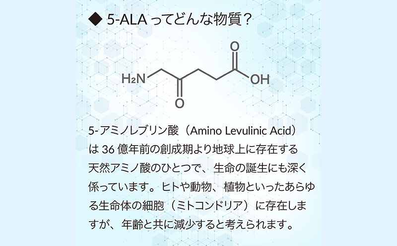 洗顔 アラヴィータ クレイウォッシュ ALAVITA 洗顔フォーム 洗顔料 化粧品 コスメ スキンケア 美容 泥 海泥 洗顔石鹸 海泥せっけん 石鹸 静岡 静岡県 袋井 袋井市
