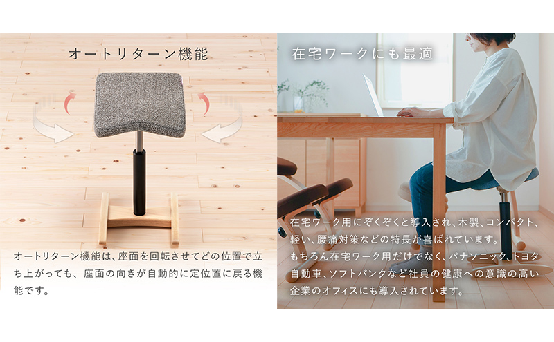 腰痛対策椅子　バランス シナジー　バランスラボ グリーン Amazon｜バランスラボ バランスシナジー ラウンド シックグレー