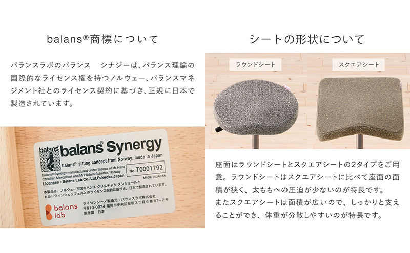 バランス シナジー(カバーなし) 椅子 腰痛 対策 イス バランスラボ 岐阜県 美濃市