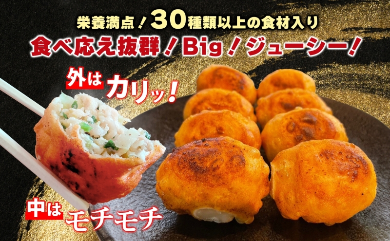 埼玉県日高市のふるさと納税 餃子のはながさ ホワイト餃子 80個 16個×5パック 冷凍 中華 点心 B級グルメ ご当地 野菜 おつまみ おかず 簡単調理 時短 豚肉 ポーク 大きめ ジューシー ギフト お取り寄せ 日高市