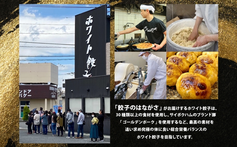 埼玉県日高市のふるさと納税 餃子のはながさ ホワイト餃子 80個 16個×5パック 冷凍 中華 点心 B級グルメ ご当地 野菜 おつまみ おかず 簡単調理 時短 豚肉 ポーク 大きめ ジューシー ギフト お取り寄せ 日高市