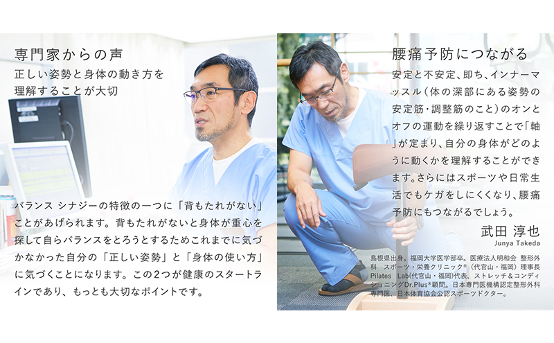 バランス シナジー(カバー付き) 椅子 腰痛 対策 イス カバー バランスラボ 岐阜県 美濃市