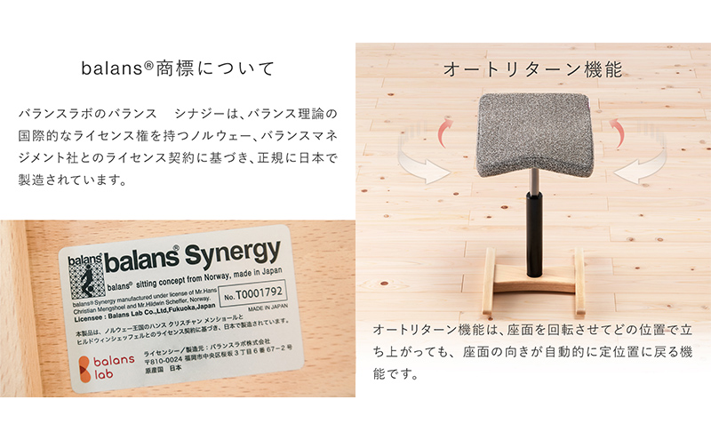 バランス シナジー(カバー付き) 椅子 腰痛 対策 イス カバー バランスラボ 岐阜県 美濃市