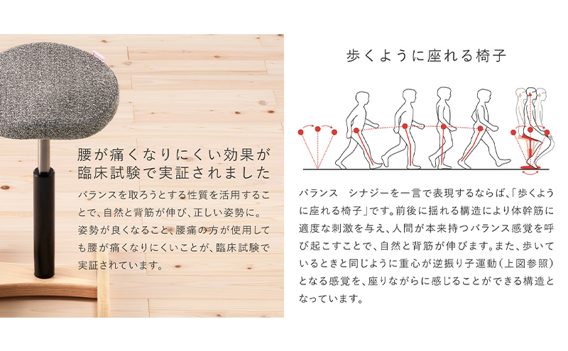 バランス シナジー(カバー付き) 椅子 腰痛 対策 イス カバー バランスラボ 岐阜県 美濃市