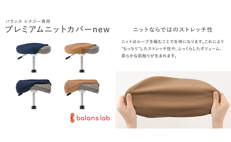 バランス シナジー(カバー付き) 椅子 腰痛 対策 イス カバー バランスラボ 岐阜県 美濃市