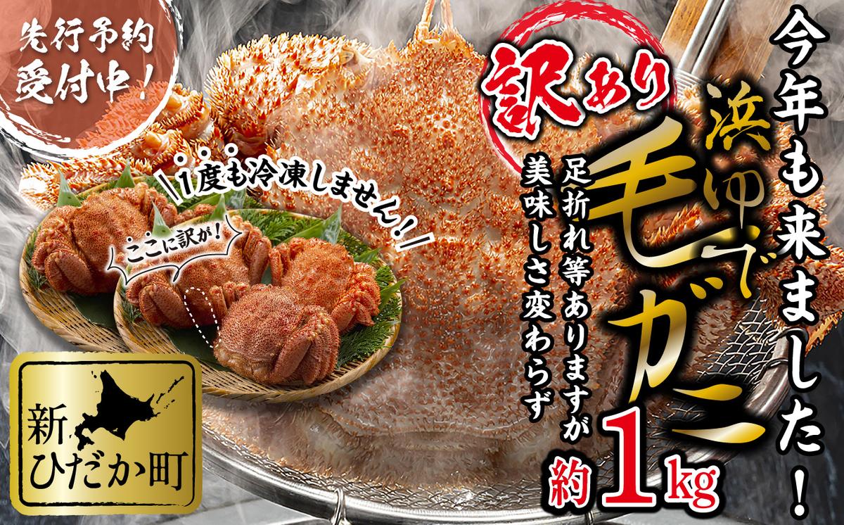 ＜2026年2月中旬から順次発送＞ 訳あり
