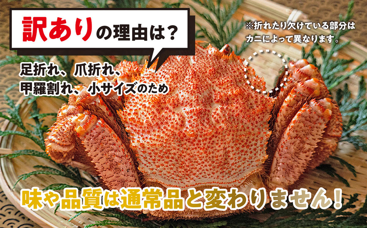 北海道新ひだか町のふるさと納税 ＜2026年2月中旬から順次発送＞ 訳あり 北海道産 浜ゆで 毛ガニ 約 1kg ＜予約商品＞ 毛蟹 毛がに かに味噌 カニ味噌 新鮮 旬 ボイル 浜茹で 海鮮 海産物 わけあり 訳アリ