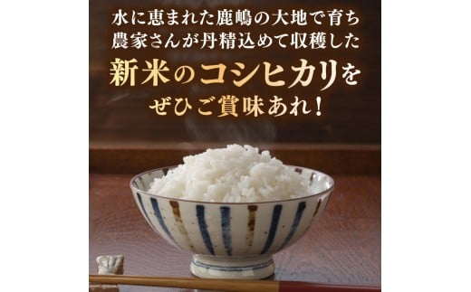 ★新米 令和7年★ 米 精米 白米 10kg （5kg×2袋）「こしひかり」先行予約 鹿嶋市産【令和7年産 コシヒカリ 5キロ 10キロ お米 コメ ごはん ライス ブランド米 茨城県 鹿嶋市】(KEJ-2)