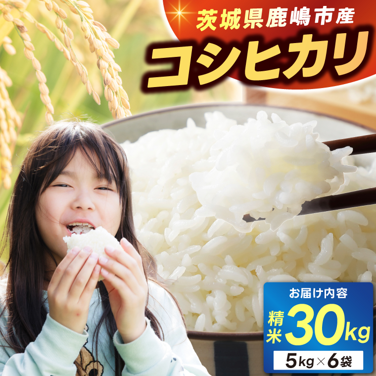 ★新米 令和7年★ 米 精米 白米 30kg（5kg×6袋）「こしひかり」先行予約 鹿嶋市産【令和7年産 コシヒカリ 5キロ 10キロ 30キロ お米 コメ ごはん ライス ブランド米 茨城県 鹿嶋市】(KEJ-3)