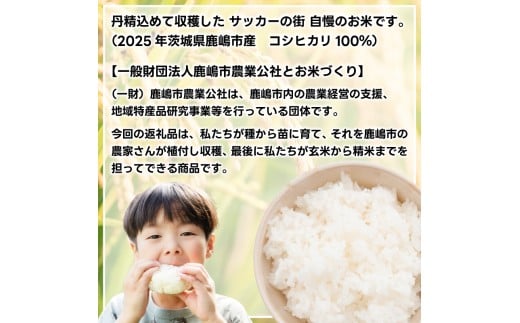 ☆新米 令和7年☆ 米 精米 白米 30kg（5kg×6袋）「こしひかり