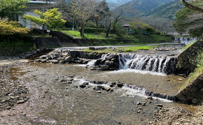 岐阜県池田町産 金華海老 250g×4パック 計1kg 海老 エビ えび 【配送不可：離島】