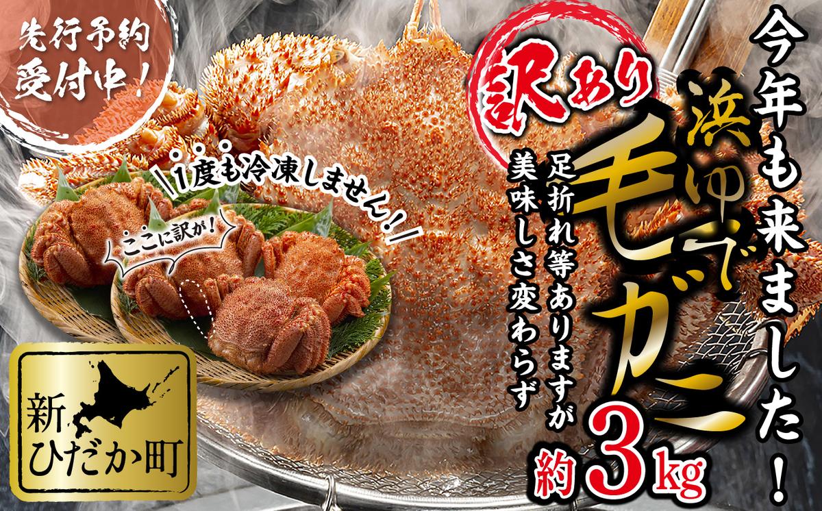 ＜2026年2月中旬から順次発送＞ 訳あり 北海道産 浜ゆで 毛ガニ 約 3kg ＜予約商品＞ 毛蟹 毛がに かに味噌 カニ味噌 新鮮 旬 ボイル 浜茹で 海鮮 海産物 わけあり 訳アリ 
