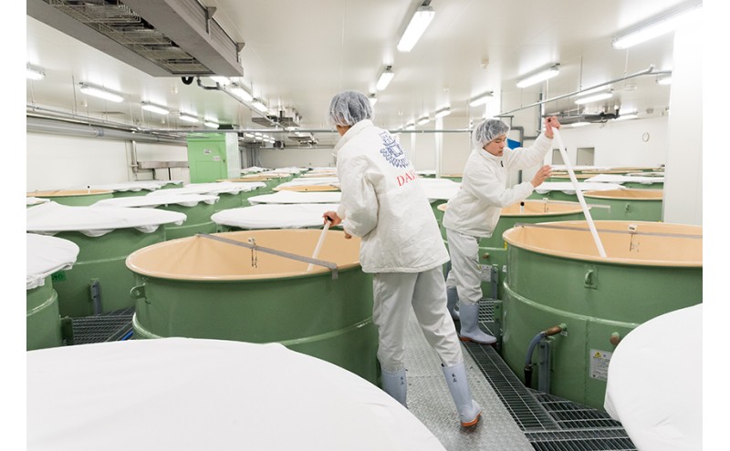 獺祭 純米大吟醸 磨き二割三分 720ml 福岡県産山田錦使用 日本酒 酒 お酒 純米大吟醸 大吟醸