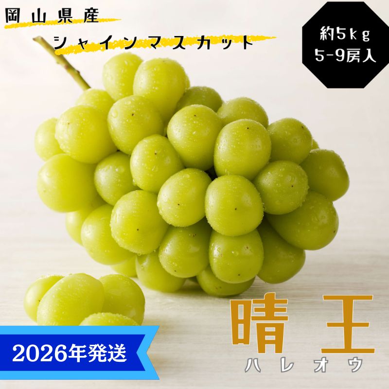 【岡山県瀬戸内市】【2026年先行受付】 シャインマスカット 晴王 秀品 大房 約5kg(5〜9房) 岡山県産 岡山県産 ぶどう 葡萄 ブドウ ギフト 御礼 プレゼント 御礼 御祝 御供 果物 くだもの フルーツ