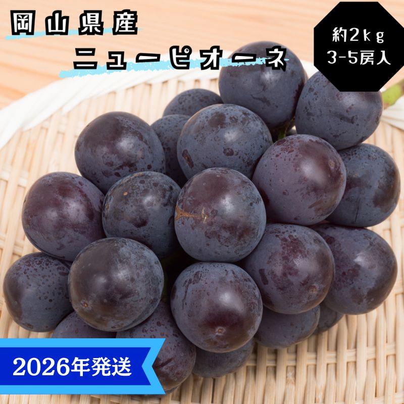 【岡山県瀬戸内市】【2026年先行受付】 ぶどう ニューピオーネ 秀品 約2kg(3〜5房) 岡山県産 ぶどう 葡萄 ブドウ ギフト 御礼 プレゼント 御礼 御祝 御供 果物 くだもの フルーツ