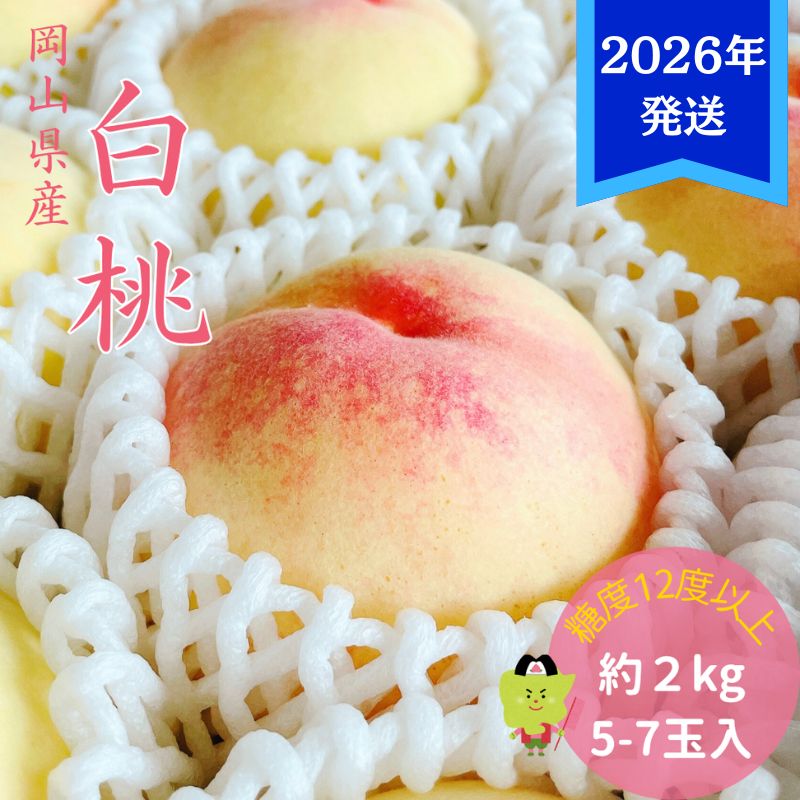 【2026年先行受付】 白桃 特秀 ロイヤル 大玉 約2kg(5～7玉) 岡山県産 桃 もも モモ 御中元 ギフト 御礼 プレゼント 御礼 御祝 御供 果物 くだもの フルーツ