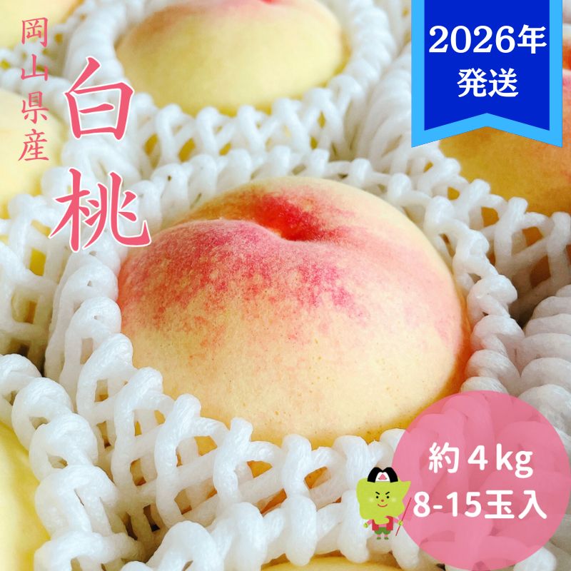 【2026年先行受付】 白桃 岡山 秀品 大玉 約4kg(8～15玉) 岡山県産 桃 もも モモ 御中元 ギフト 御礼 プレゼント 御礼 御祝 御供 果物 くだもの フルーツ