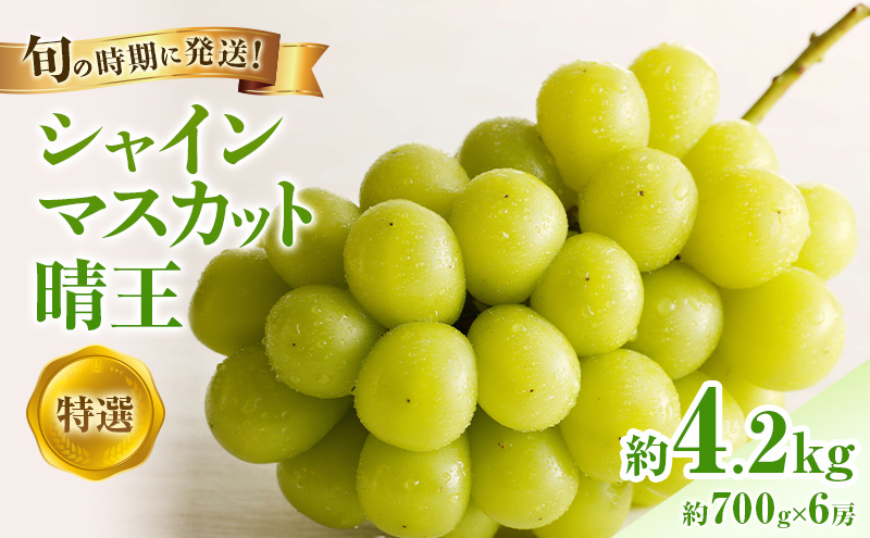 �y���R�����˓��s�z�y2026�N��s��t�z �V���C���}�X�J�b�g ���� ���I ��[ ��700g 6�[ ���ϔ��� ���R���Y �Ԃǂ� ���� �u�h�E �M�t�g ��� �v���[���g ��� ��j �䋟 �ʕ� �������� �t���[�c