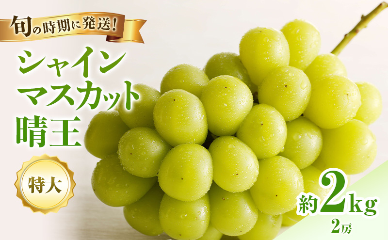 �y���R�����˓��s�z�y2026�N��s��t�z �V���C���}�X�J�b�g ���� �G�i ���� ��2kg 2�[ ���R���Y �Ԃǂ� ���� �u�h�E �M�t�g ��� �v���[���g ��� ��j �䋟 �ʕ� �������� �t���[�c